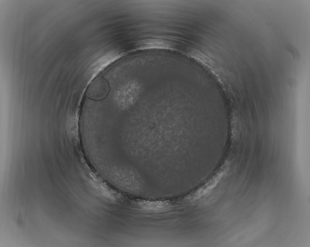 X0000111861121200908061330