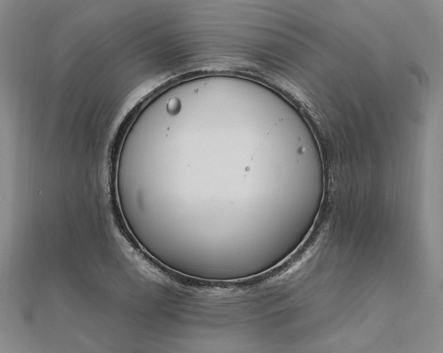 X0000111861122200908061330