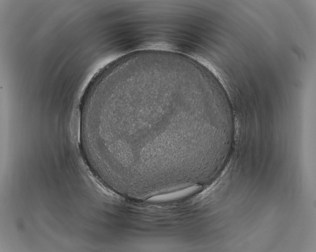 X0000111861123200908061330