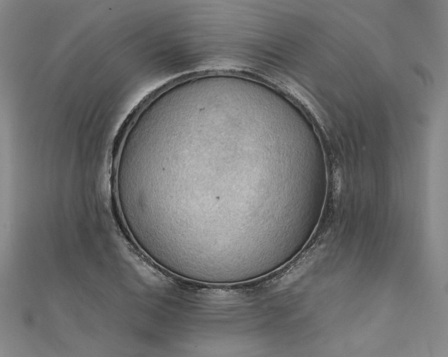 X0000111861124200908061330