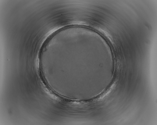 X0000111861125200908061330