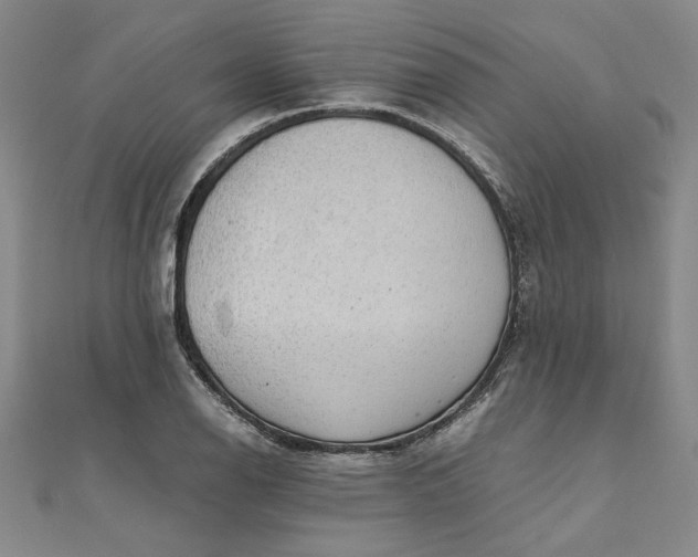 X0000111861126200908061330