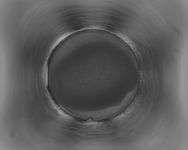 X0000111861127200908061330