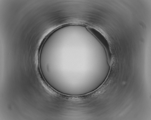 X0000111861128200908061330