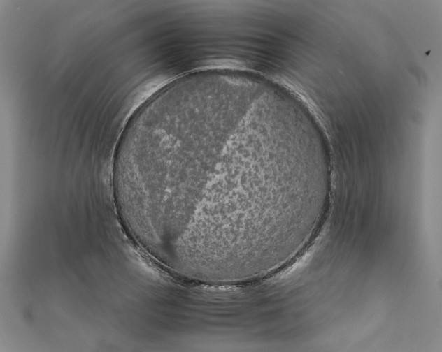 X0000111861129200908061330