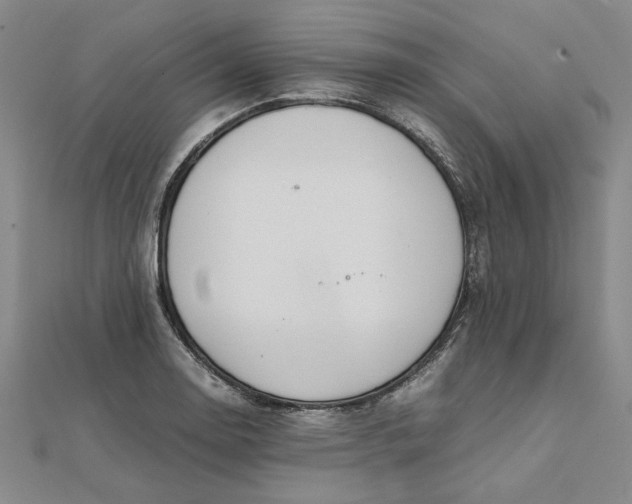 X0000111861130200908061330