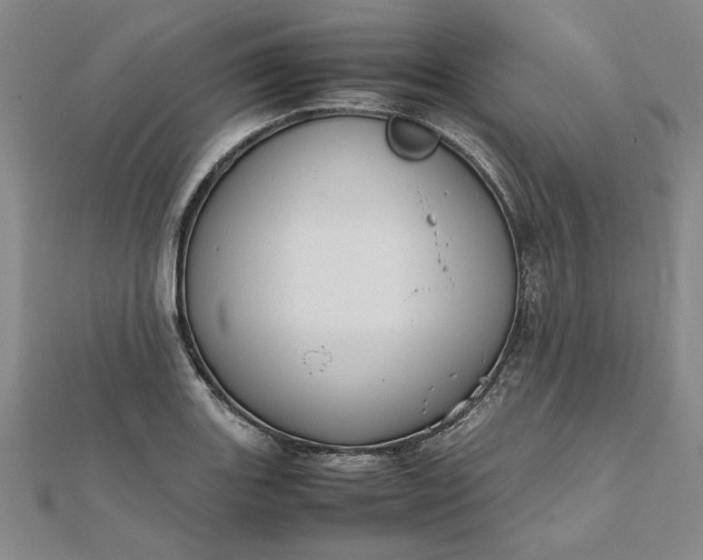 X0000111861131200908061330