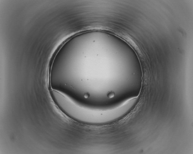 X0000111861132200908061330