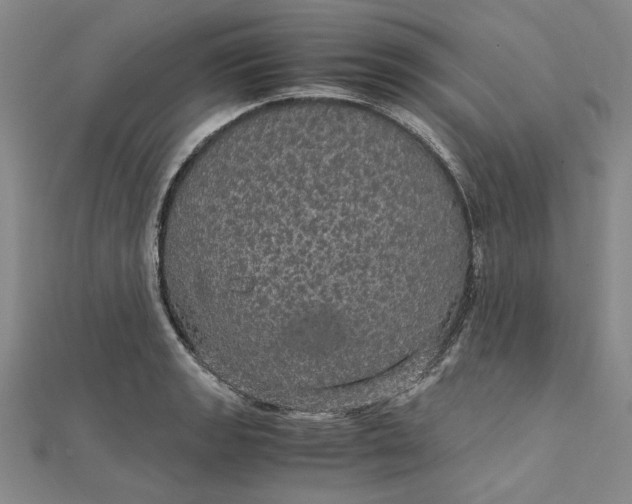 X0000111861133200908061330