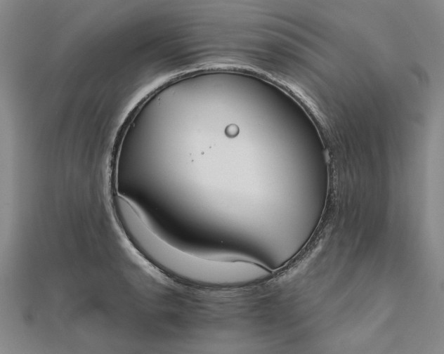 X0000111861134200908061330