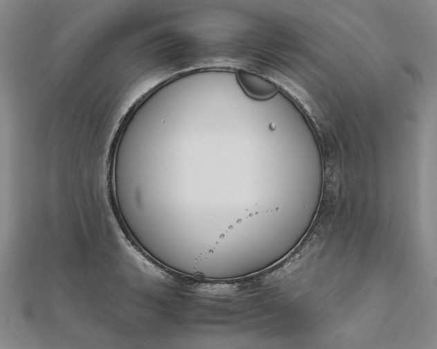 X0000111861135200908061330