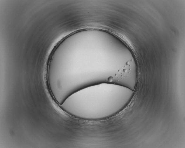 X0000111861136200908061330