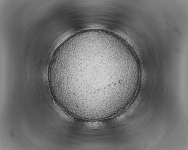 X0000111861137200908061330