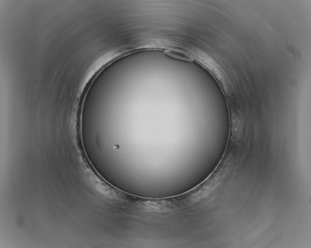 X0000111861138200908061330