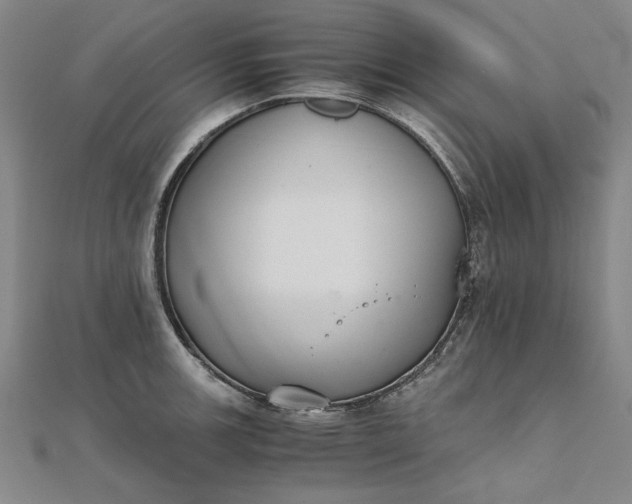 X0000111861139200908061330