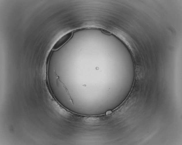 X0000111861140200908061330