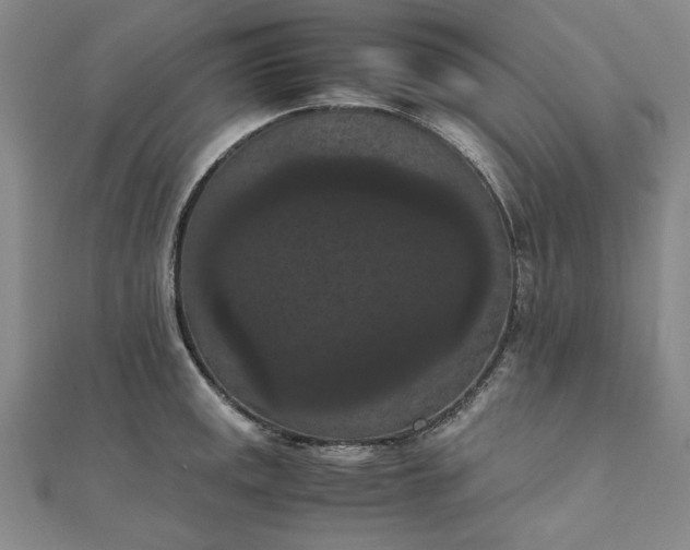 X0000111861141200908061330