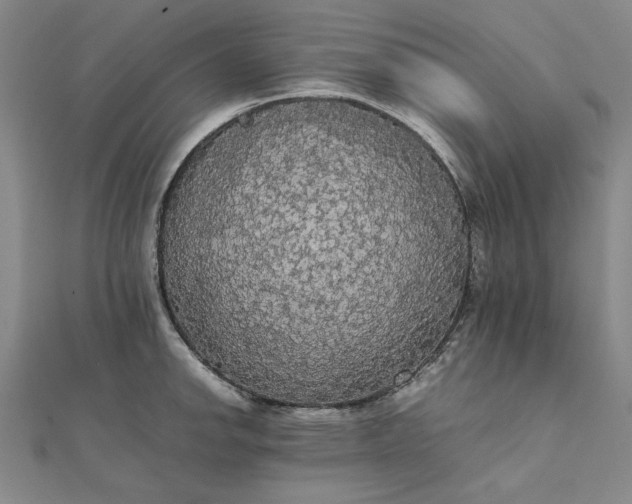 X0000111861142200908061330