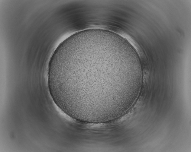 X0000111861143200908061330