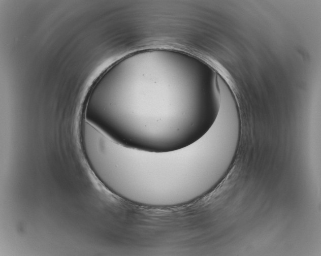 X0000111861144200908061330