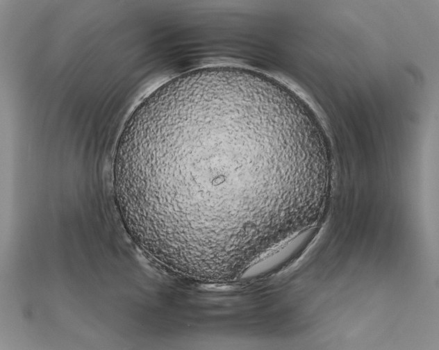 X0000111861145200908061330