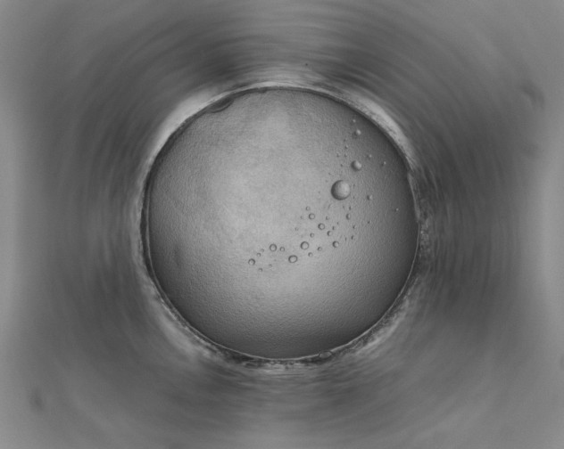 X0000111861146200908061330