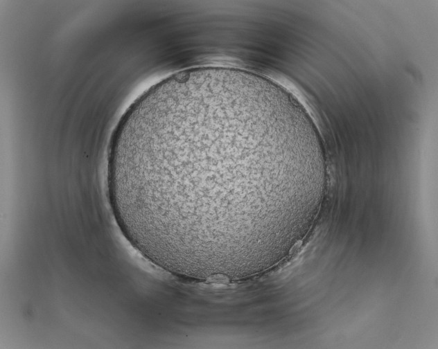 X0000111861147200908061330