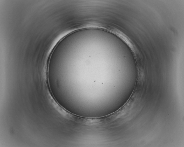 X0000111861148200908061330