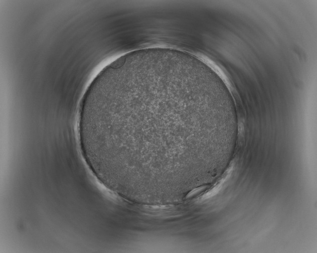 X0000111861149200908061330