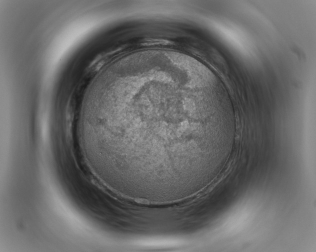 X0000111861151200908061330