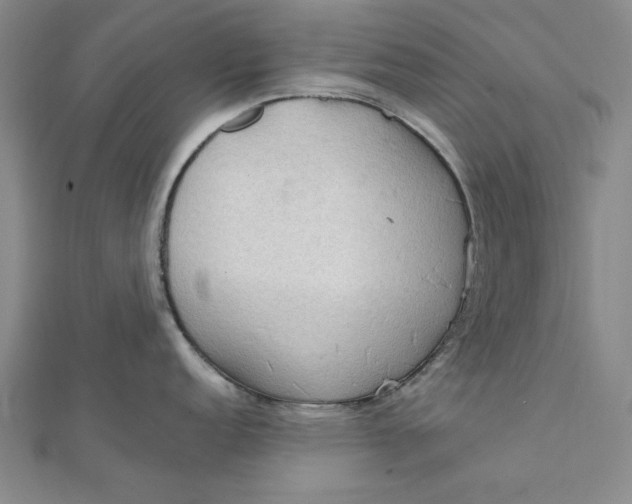 X0000111861152200908061330