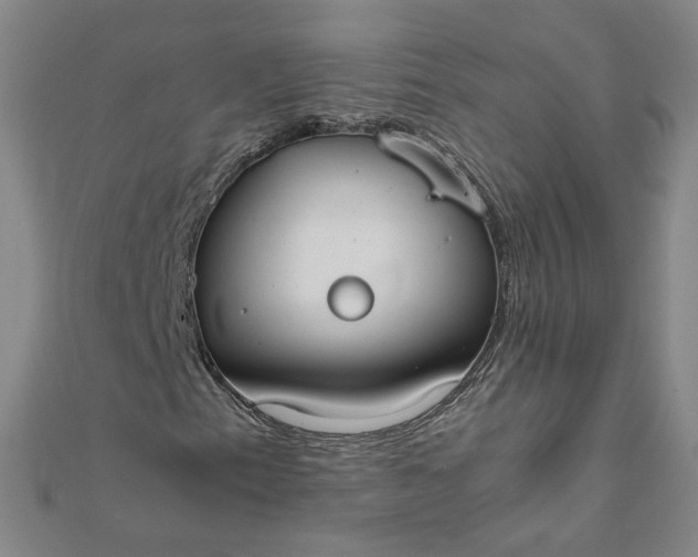 X0000111861153200908061330