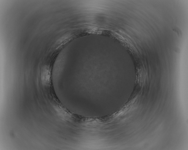 X0000111861154200908061330