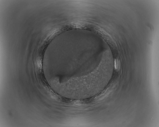 X0000111861155200908061330