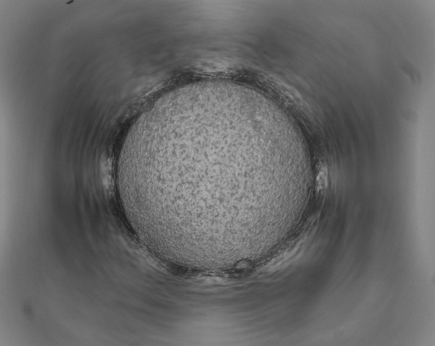 X0000111861156200908061330