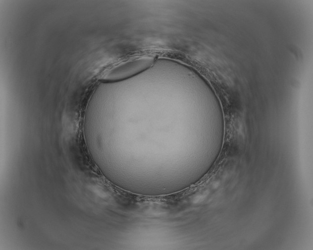 X0000111861157200908061330