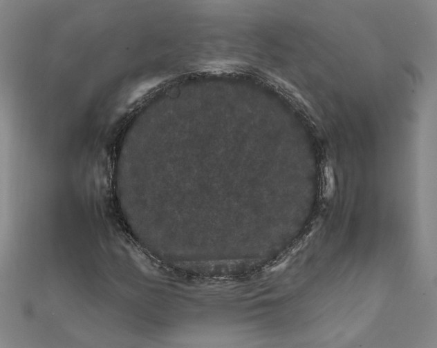 X0000111861158200908061330