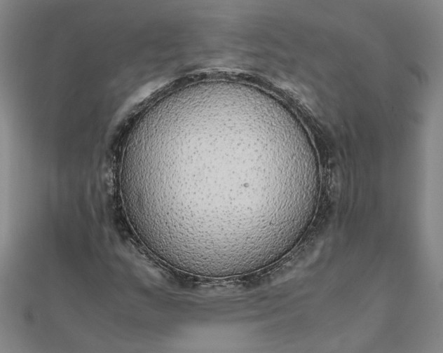 X0000111861159200908061330