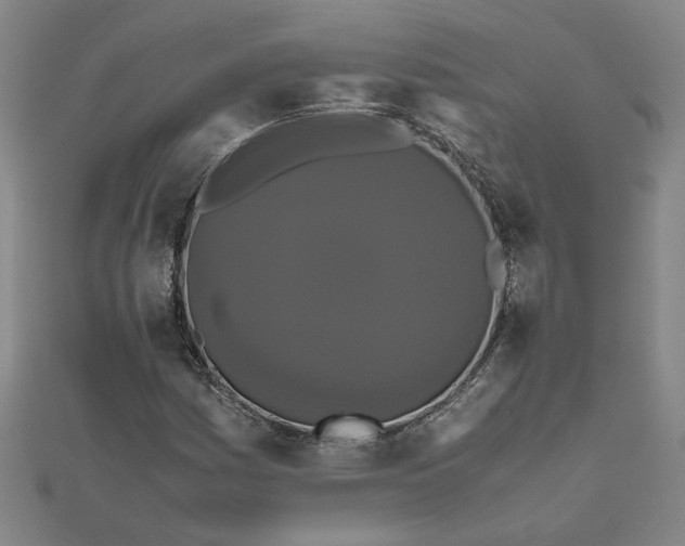 X0000111861161200908061330