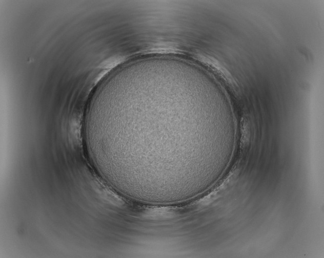 X0000111861162200908061329