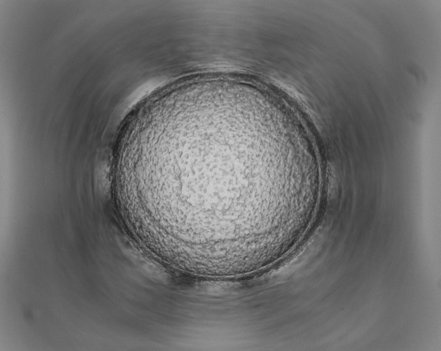 X0000111861163200908061329