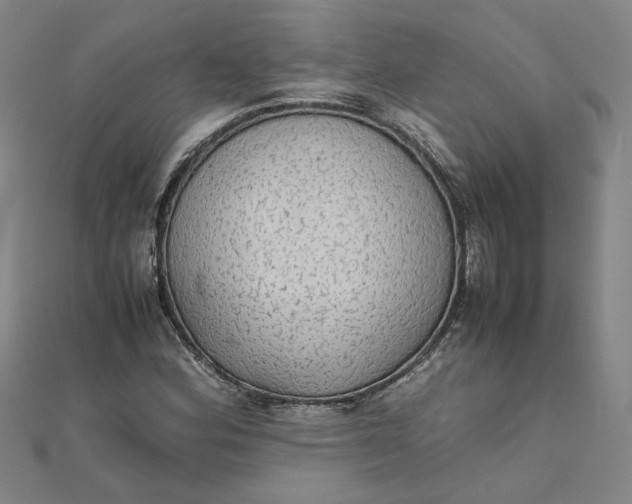 X0000111861164200908061329