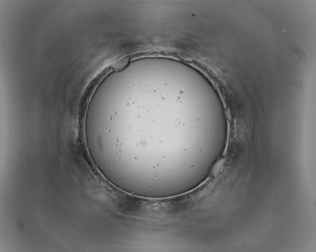 X0000111861165200908061329