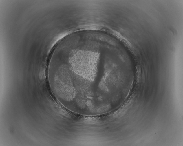 X0000111861166200908061329