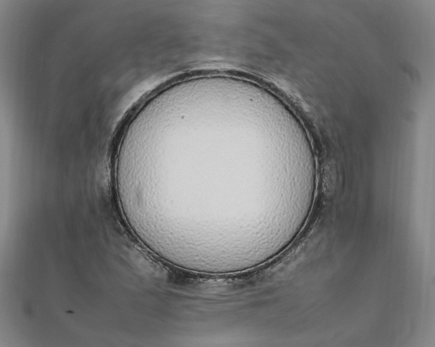 X0000111861167200908061329