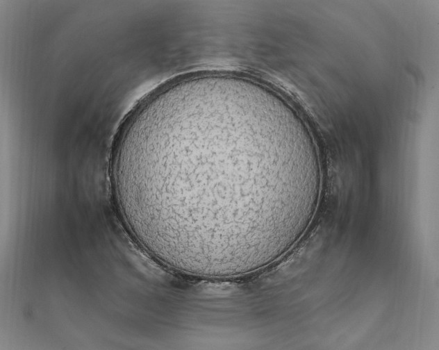 X0000111861168200908061329