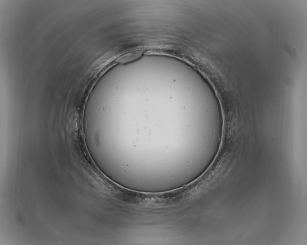 X0000111861169200908061329