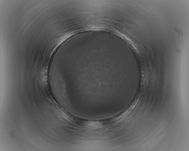 X0000111861170200908061329