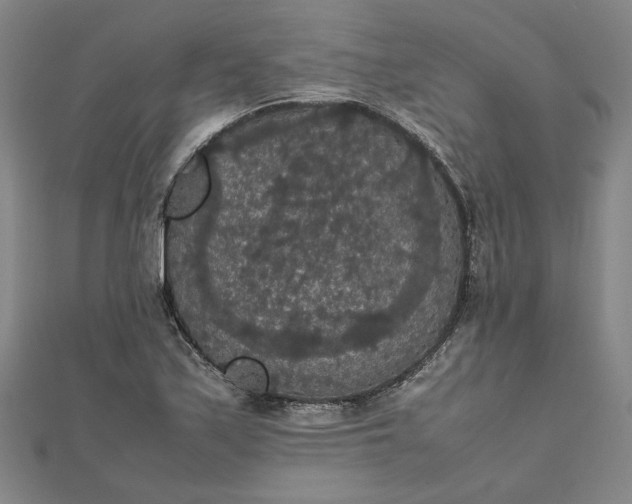 X0000111861171200908061329