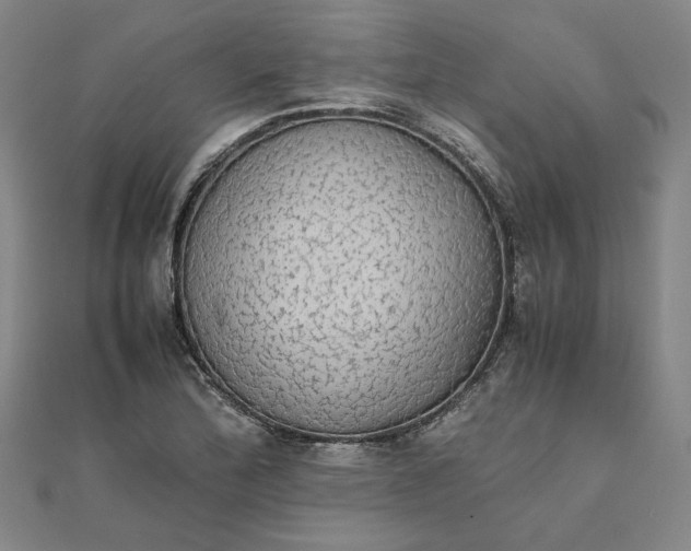 X0000111861172200908061329